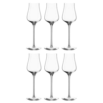 Leonardo - BRUNELLI Grappa Glasses 210ml - Pack of 6