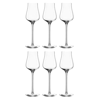 Leonardo - BRUNELLI Grappa Glasses 210ml - Pack of 6